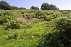 Level behind old Llanhilleth Farm, August 2013